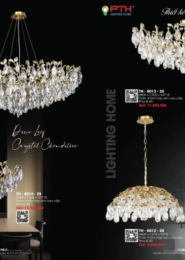 CATALOGUE DÈN LIGHTING & HOME 2025 ( Chiếc khấu từ 50%-60%)