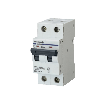 BBD210021C/ BBD21002CHV: CB 2P 100A