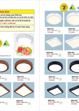 CATALOGUE ĐÈN TRANG TRÍ EUROTO 2025 ( CK từ 55%-60%)