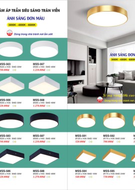 CATALOGUE ĐÈN TRANG TRÍ EUROTO 2025 ( CK từ 55%-60%)