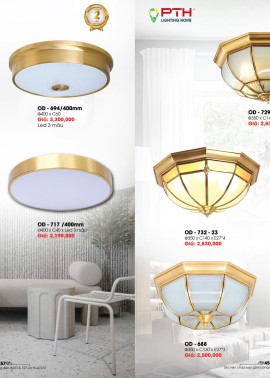 CATALOGUE DÈN LIGHTING & HOME 2025 ( Chiếc khấu từ 50%-60%)