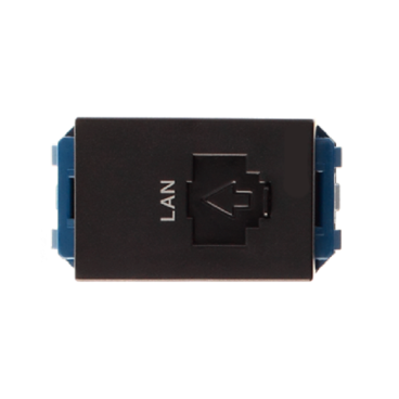 WEG24886B-G: Ổ cắm Data Cat6