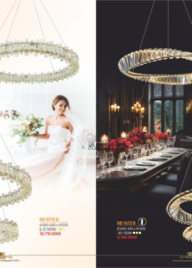 CATALOGUE ĐÈN NAM LONG ( NETVIET) - CK từ 55%-60%