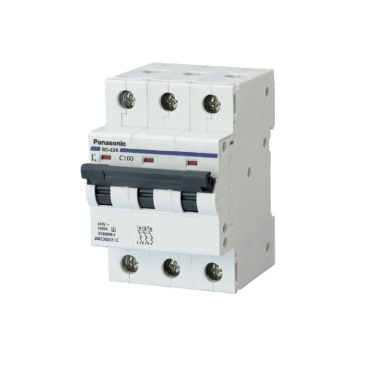 BBD310031C/ BBD31003CHV: CB 3P 100A