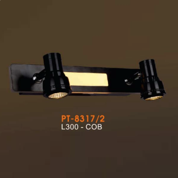 VE - PT - 8317/2: Đèn rọi tranh/ rọi gương đôi - KT: L300mm - Đèn LED COB ánh sáng vàng