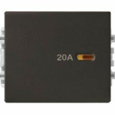 8431MD20_ BZ_ G19 - Contac 2 cực 20A, size M