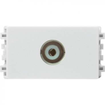 8431STV - WE - G19 - ổ  TV, size S