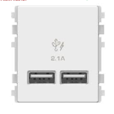 8432USB - WE  - ổ  sạc USB 2.1A đôi, Size S