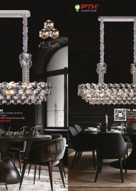 CATALOGUE DÈN LIGHTING & HOME 2025 ( Chiếc khấu từ 50%-60%)