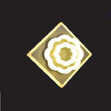 AN - VL - 8054: Đèn gắn tường LED - KT: L200mm - Đèn LED ánh sáng vàng 3000K