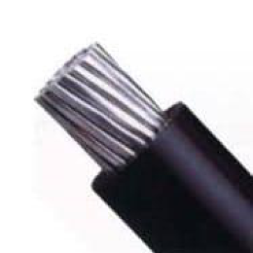 AV 150: Cáp nhôm AV 150mm2 - 1 m