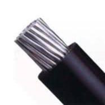 AV 150: Cáp nhôm AV 150mm2 - 1 m