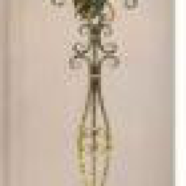 CODE: WL 0175/2A: Đèn tường 2 bóng, chao thủy tinh, KT L450*W210*H1430mm