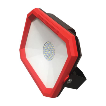 CP06 50W - Đèn pha LED 50W (ánh sáng trắng/vàng) - RẠNG ĐÔNG