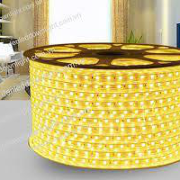 Đèn LED dây hai hàng bóng - TQ - Ánh sáng vàng