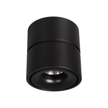 Đèn ốp trần Bianca - 13W  vỏ đen, KT: Ø100x103mm - Ánh sáng vàng