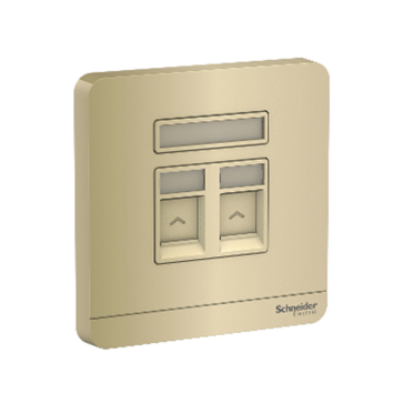 E8332RJS6_WG_G19: Bộ ổ cắm mạng Cat6 đôi màu vàng ánh kim