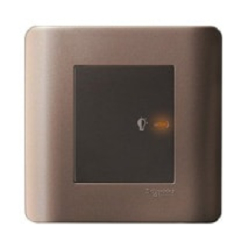 E8431EPD4-SZ: Bộ  điều chỉnh ánh sáng đèn 350VA, màu đồng