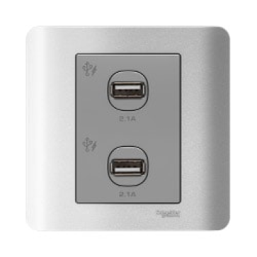 E8432USB-SA-G19: Bộ sạc USB đôi 2.1A, màu xám