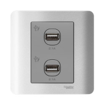 E8432USB-SA-G19: Bộ sạc USB đôi 2.1A, màu xám