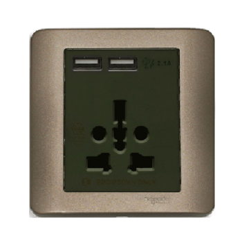 E8442616USB_SZ_G19: Bộ ổ cắm đa năng và sạc USB đôi, màu đồng