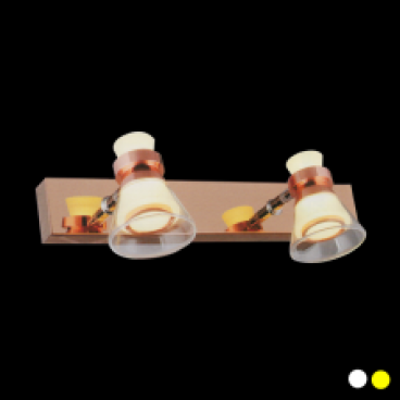 EU - S - 978/2: Đèn rọi tranh/gương đôi - KT: L320mm x W150mm  x H100mm - Đèn LED 5W x 2 ánh sáng trắng /vàng