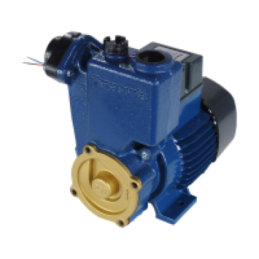 GP -250JXK-NV5 - Bơm đẩy cao 250W  mô tơ dây đồng - PANASONIC