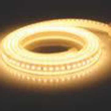 LDT03 - Đèn LED dây 2 đường bóng ánh sáng vàng - DUHAL