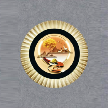 SN - V 8267: Đèn gắn tường LED - KT: Ø300mm - Đèn LED đổi 3 màu