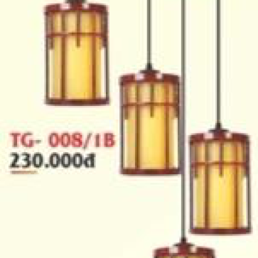 TG-008/1B