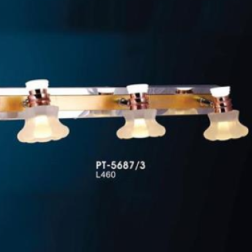 VE - PT 5687/3: LED ánh sáng vàng - KT: L460mm